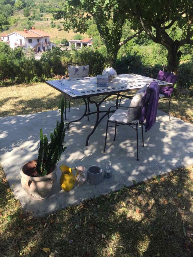 Fig&Lavender Apartment Šmarje 外观 照片