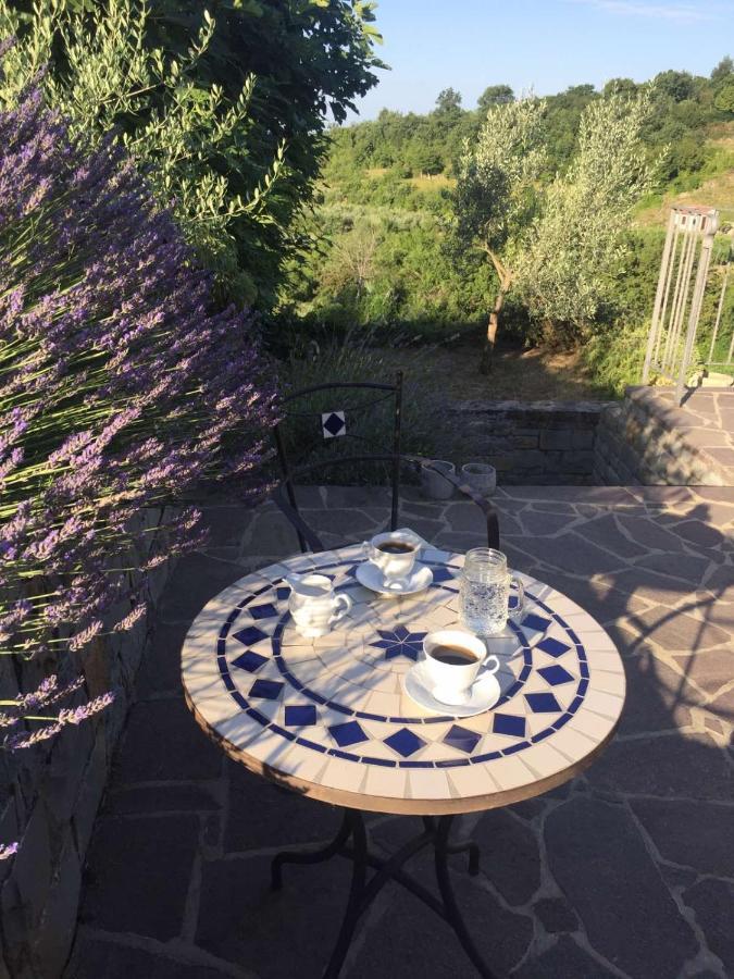 Fig&Lavender Apartment Šmarje 外观 照片