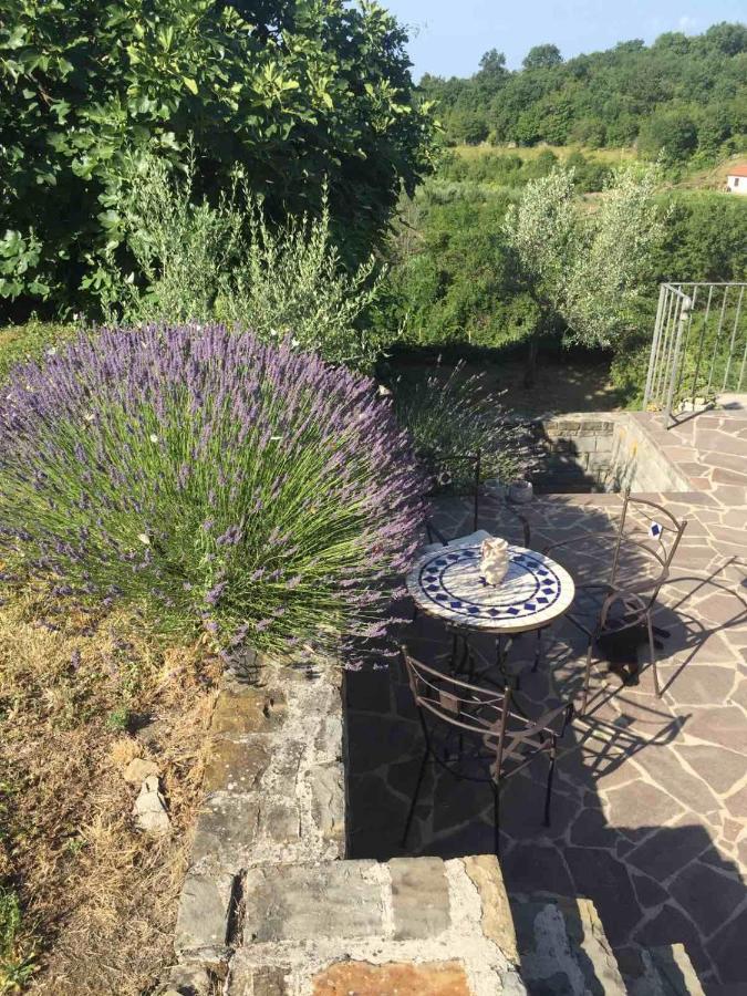 Fig&Lavender Apartment Šmarje 外观 照片