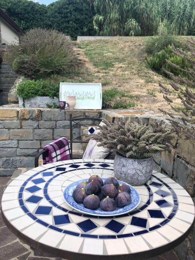 Fig&Lavender Apartment Šmarje 外观 照片