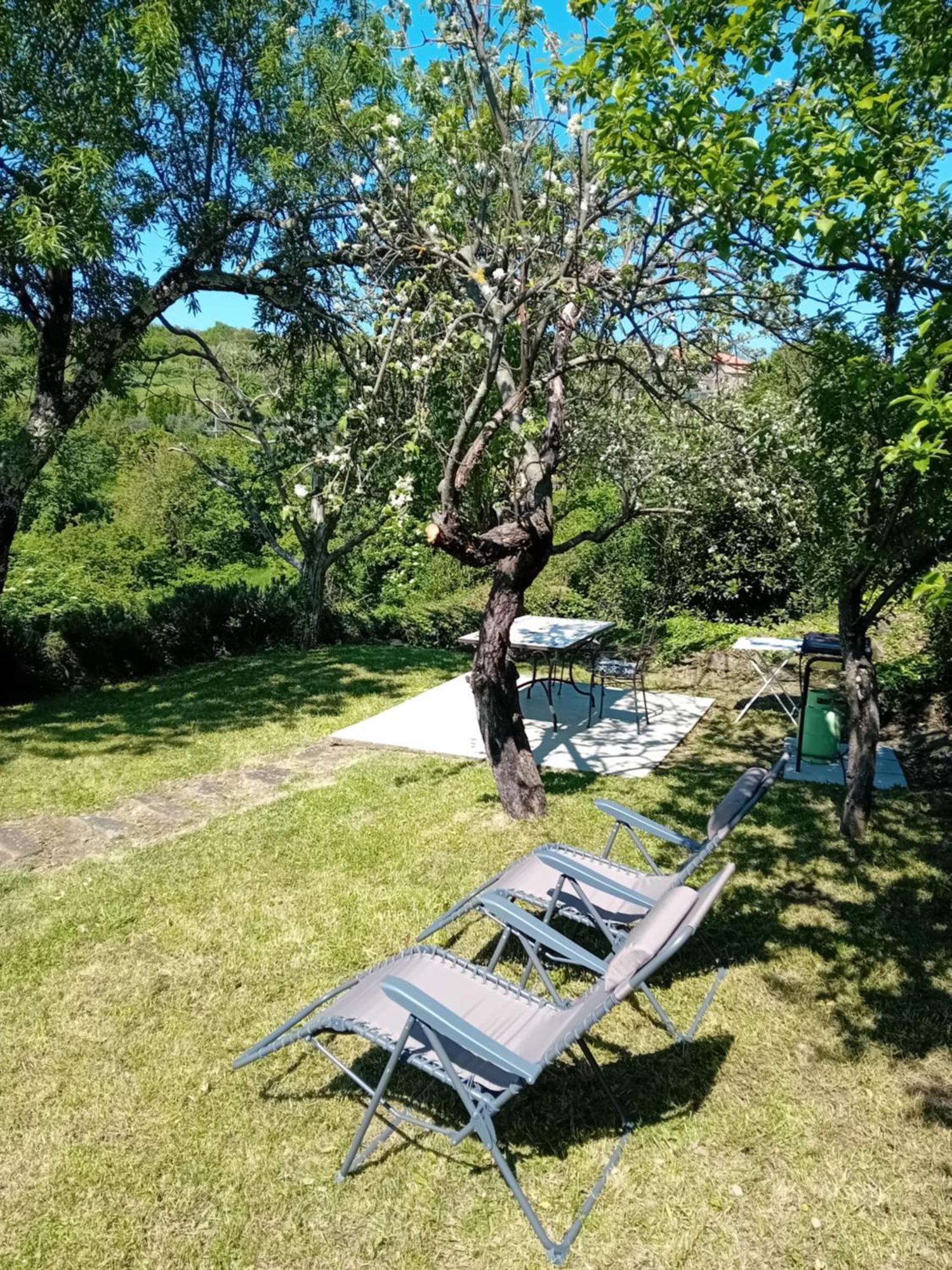 Fig&Lavender Apartment Šmarje 外观 照片